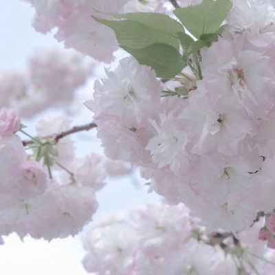 古县FurryQQ群介绍